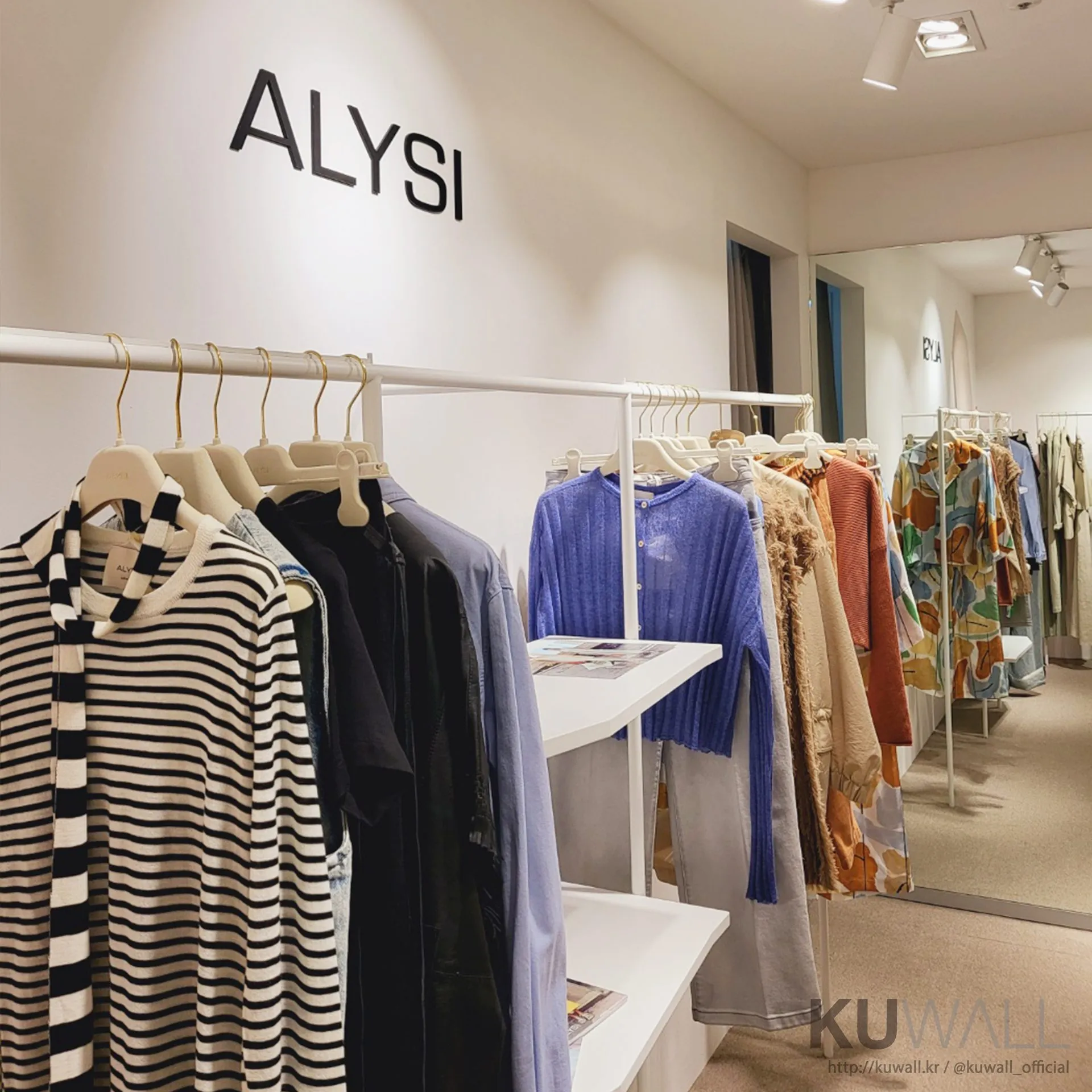 ALYSI 1