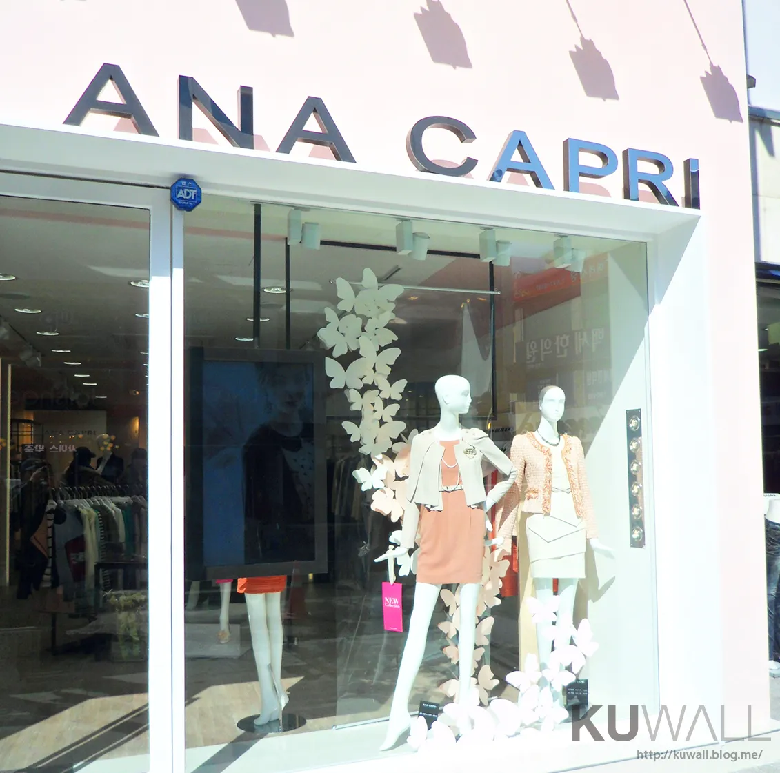 ANA CAPRI 11