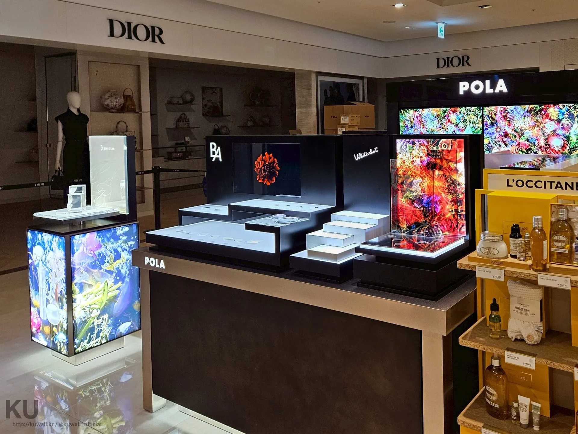 POLA 2